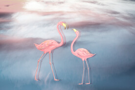 装饰画 晶瓷画 火烈鸟