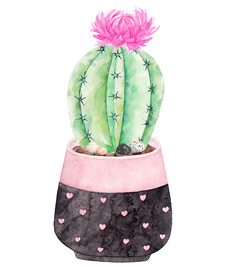 装饰画 抽象画 盘栽仙人掌