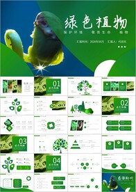 植物发芽植物生长敬畏生命PPT