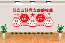 创立五好党支部的标准