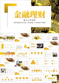 大气企业公司金融理财PPT