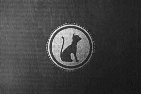 品牌logo布料质感样机