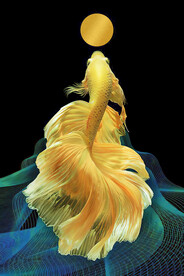 装饰画 晶瓷画 金鱼