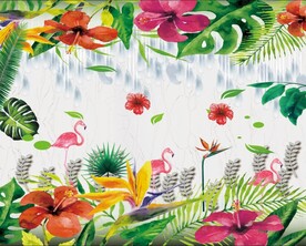 火烈鸟 火鸟 热带雨林 植物