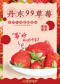 丹东草莓海报