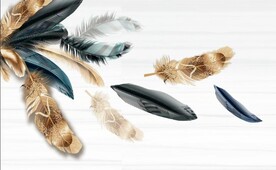 北欧羽毛简约背景墙