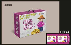水果青枣包装效果图+平面图 