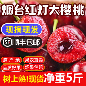 大樱桃主图设计