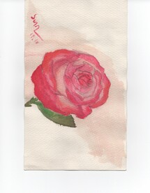 水彩红色玫瑰花