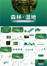 环保森林湿地环境保护生态ppt