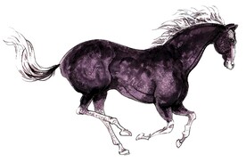 水彩马手绘马千里马奔跑马