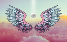 翅膀背景墙