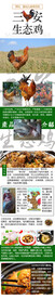 生态鸡详情页