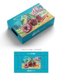 樱桃包装
