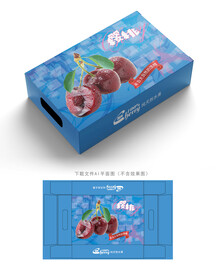 樱桃包装