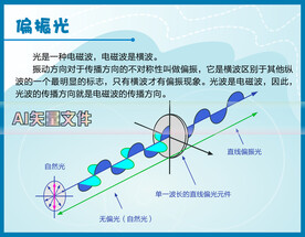 偏振光横波原理图科技馆说明牌