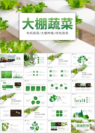 大棚蔬菜种植基地有机蔬菜ppt