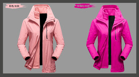 女士冲锋衣图片