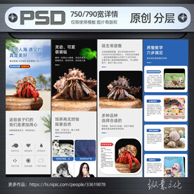 寄居蟹详情设计模板