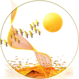 晶瓷画线条抽象画飞鸟