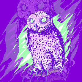  猫头鹰海报 战队 LOGO 