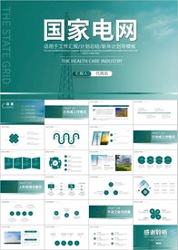 国网国家电网 电力公司pp