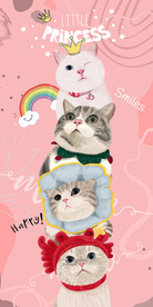 可爱大眼萌卡通手绘猫咪玄关