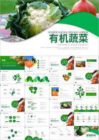 大棚蔬菜种植基地有机蔬菜PPT
