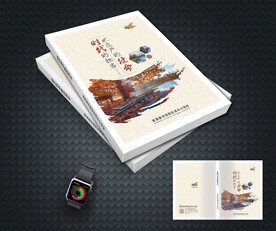 责任与担当封面设计