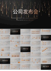 公司企业新品发布会策划PPT