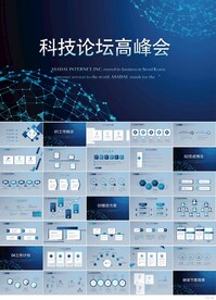 蓝色科技论坛高峰会总结PPT