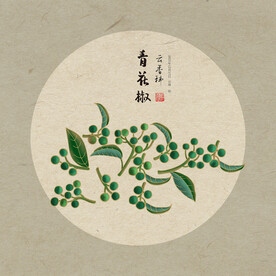 手绘植物食材