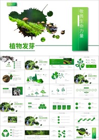 植物生长敬畏生命发芽PPT