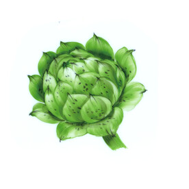 手绘朝鲜蓟蔬菜