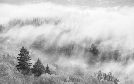 山水客厅挂画电视背景墙