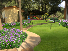 花境景观设计效果图