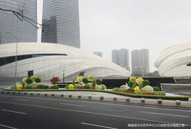 花坛花境景观设计效果图