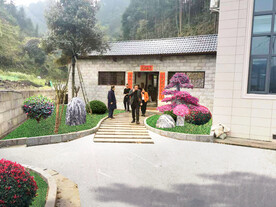 别墅绿化改造设计效果图