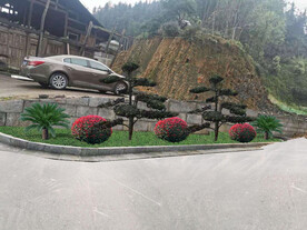 绿化改造设计效果图