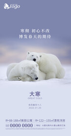 地产大寒手机海报