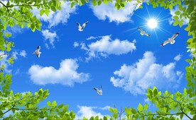 蓝天白云绿叶鸽子