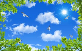 蓝天白云绿叶鸽子