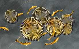 装饰画 中国风 鱼 抽象画