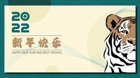 2022虎年吉祥形象广告海报