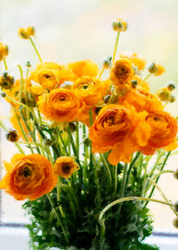 50X70厘数字油画装饰画素材