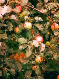 30X40厘数字油画装饰画素材