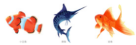 高清手绘小丑鱼旗鱼金鱼免抠