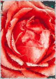 50X70厘数字油画装饰画素材