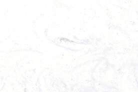 爵士白 鱼肚白高清大理石瓷砖