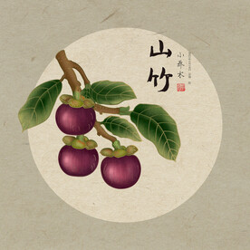 手绘山竹